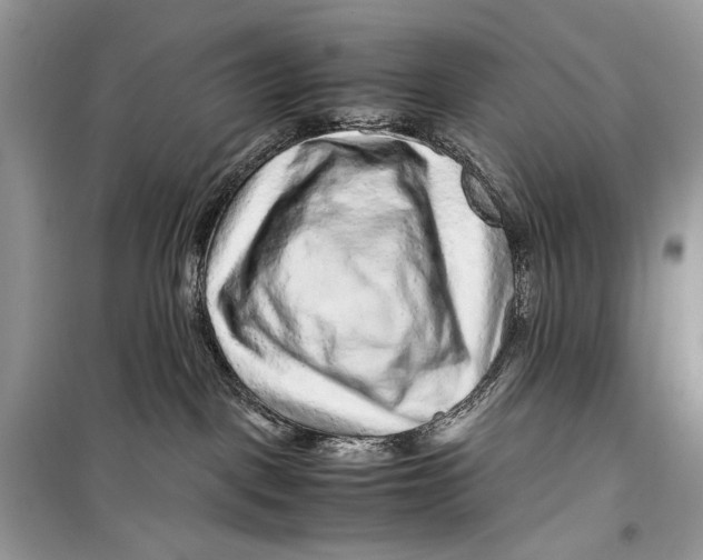 X0000099290093200805231330