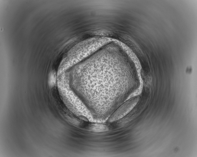 X0000099290095200805231330