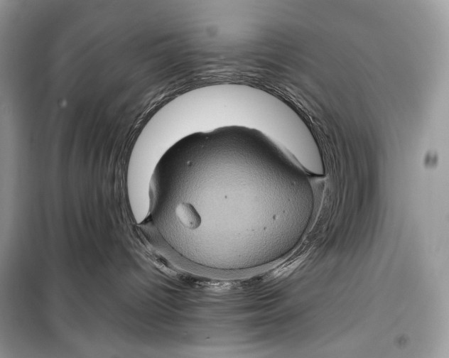 X0000099290096200805231330