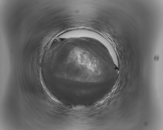 X0000099290097200805231329