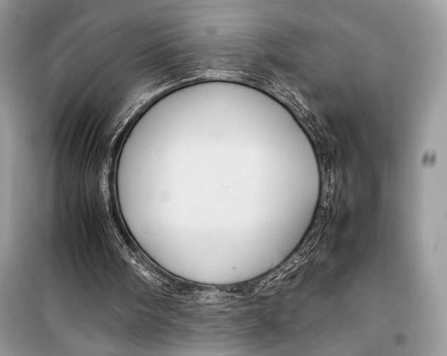 X0000099290098200805231329