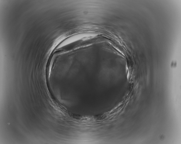 X0000099290099200805231329