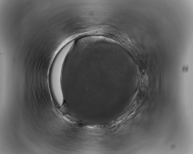 X0000099290100200805231329