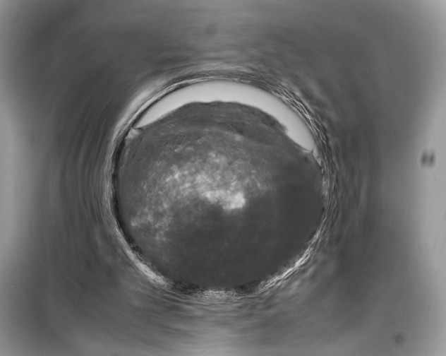 X0000099290101200805231329