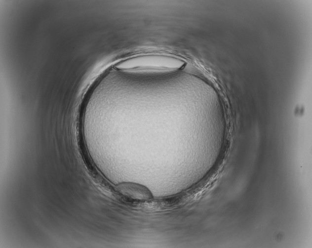 X0000099290103200805231329