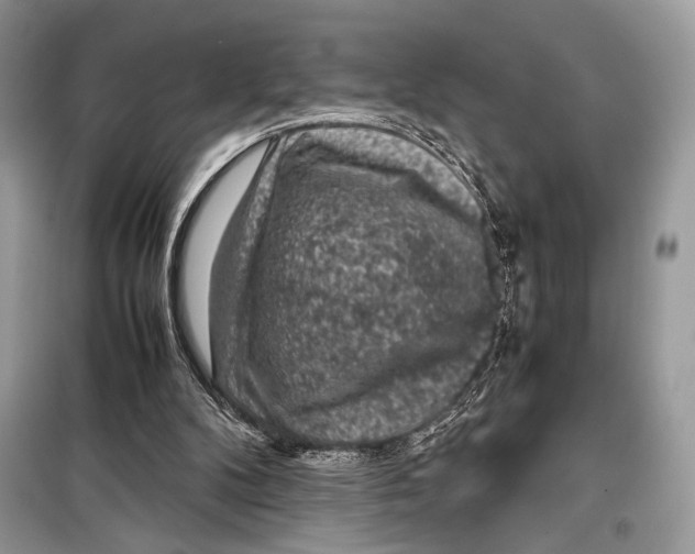 X0000099290104200805231329