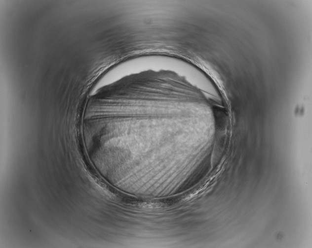 X0000099290105200805231329