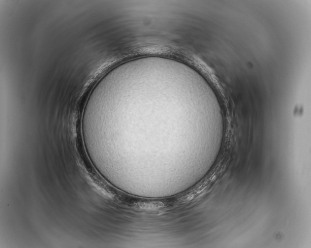 X0000099290106200805231329