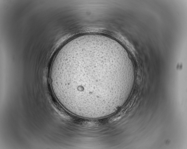 X0000099290107200805231329