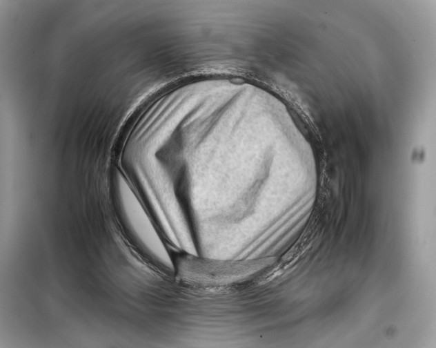 X0000099290108200805231329