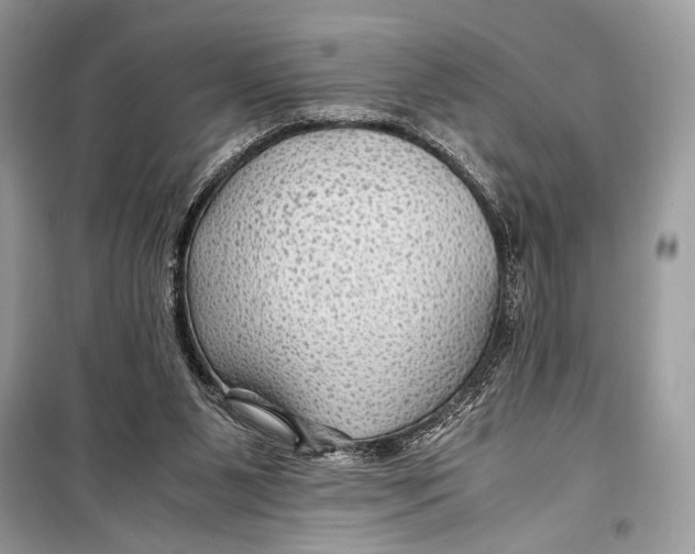 X0000099290111200805231329