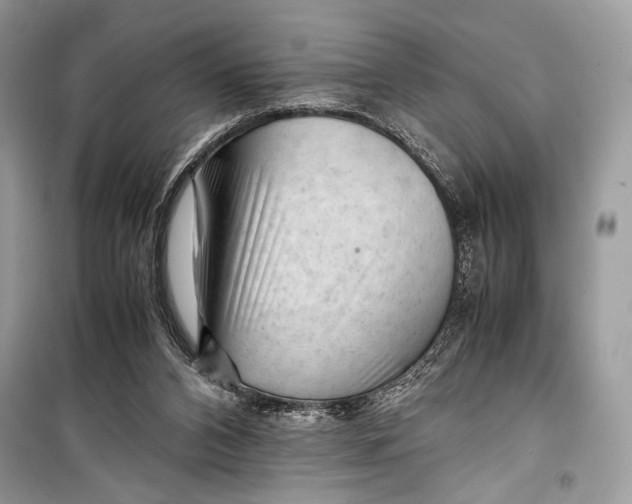 X0000099290112200805231329