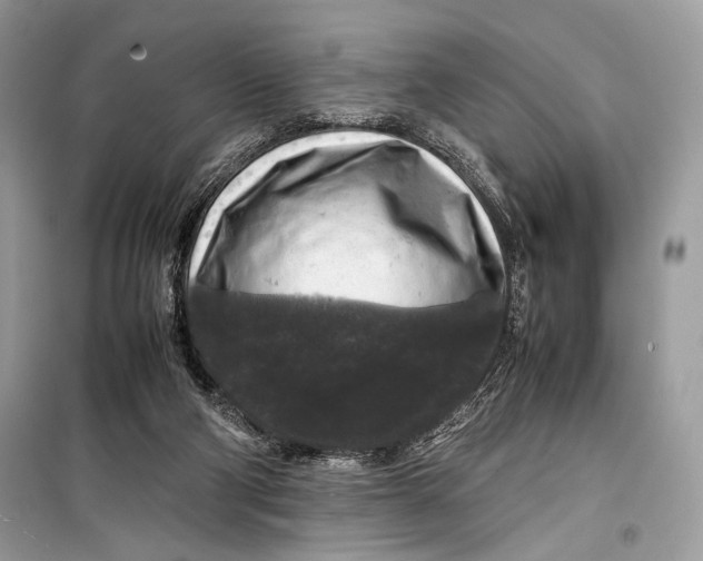 X0000099290114200805231329