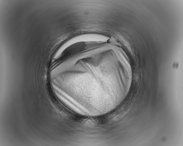 X0000099290115200805231329