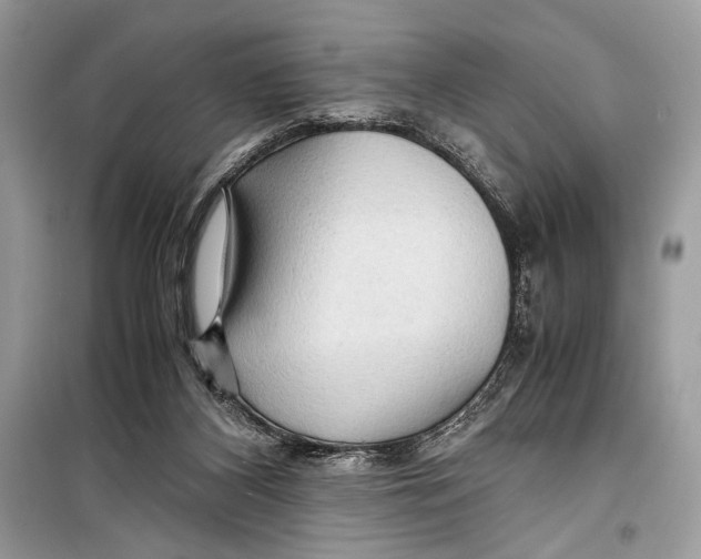 X0000099290116200805231329