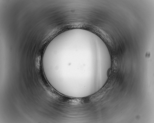 X0000099290118200805231329