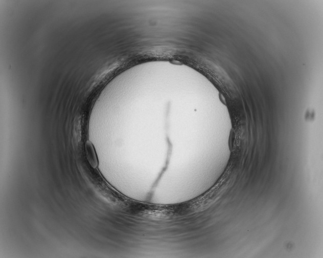 X0000099290120200805231329