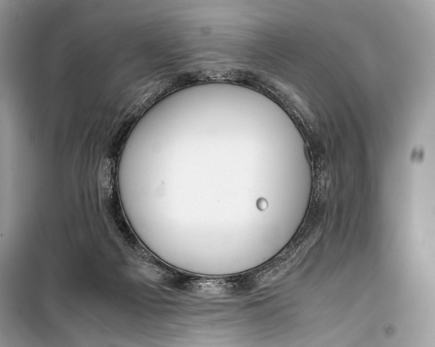 X0000099290121200805231329