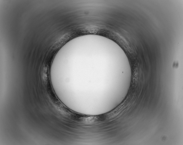 X0000099290122200805231329