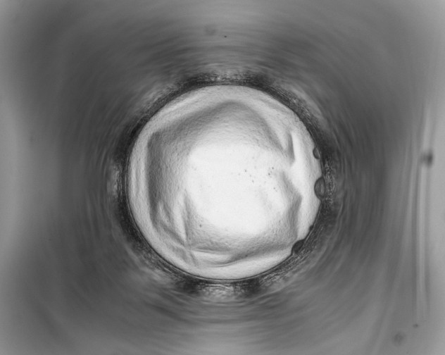 X0000099290123200805231329