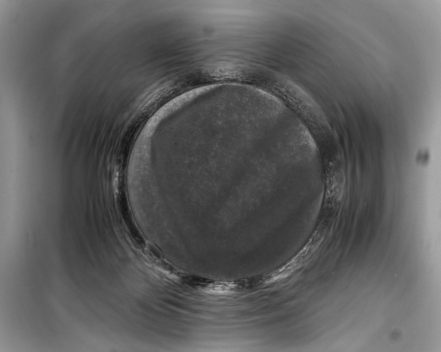 X0000099290124200805231329