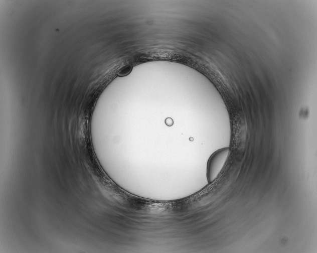 X0000099290126200805231329