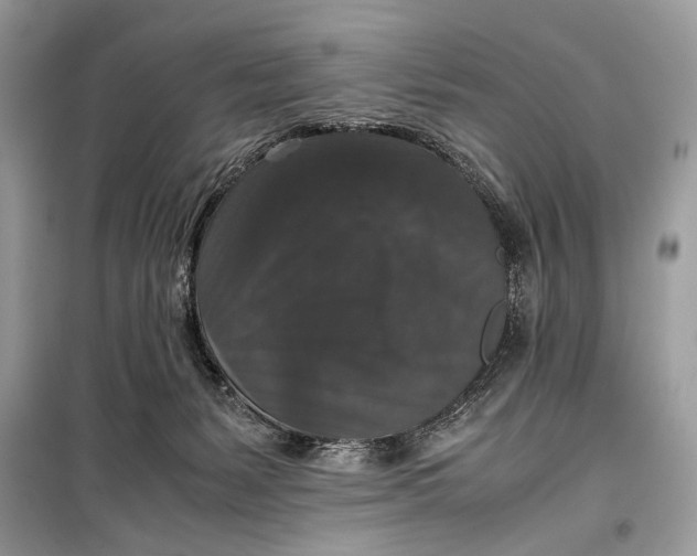 X0000099290127200805231329