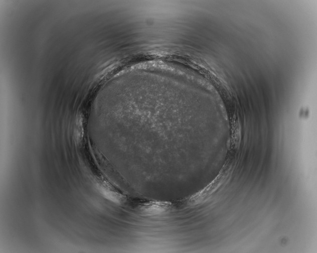 X0000099290128200805231329