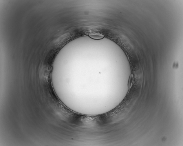 X0000099290129200805231329