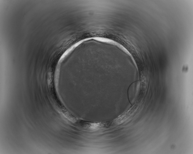 X0000099290130200805231329