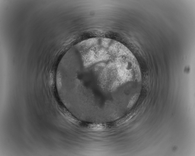 X0000099290131200805231329