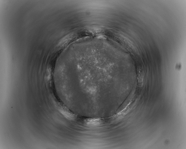 X0000099290132200805231329