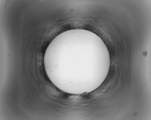 X0000099290133200805231329