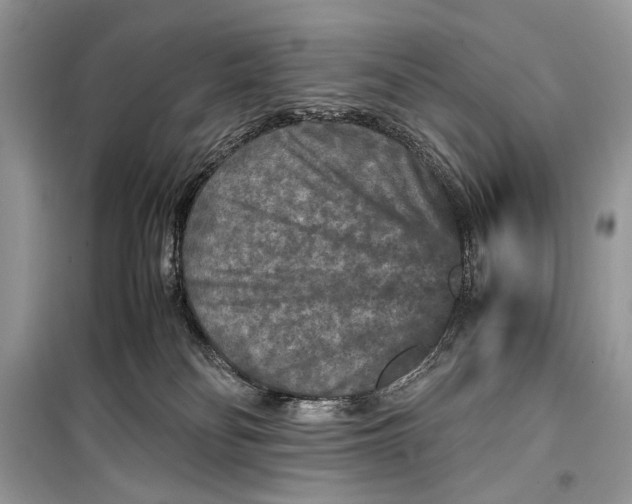 X0000099290134200805231329