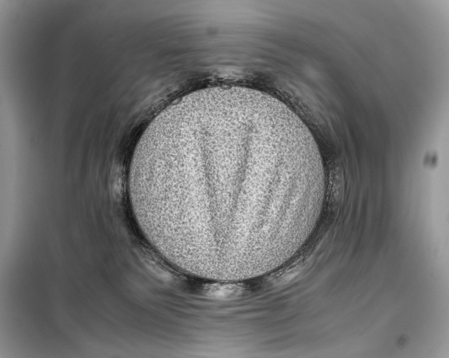 X0000099290135200805231328