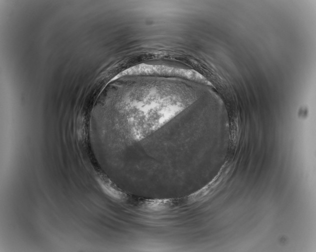 X0000099290136200805231328