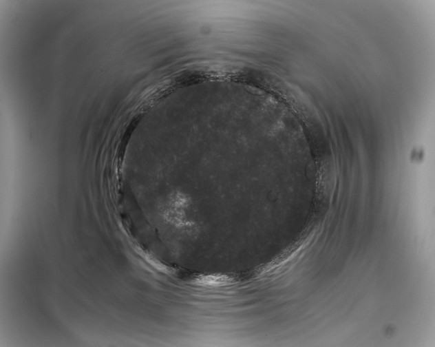 X0000099290137200805231328