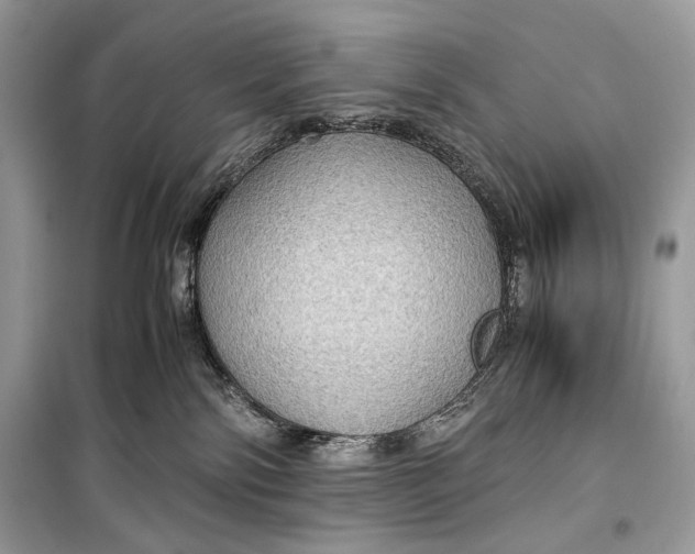 X0000099290138200805231328