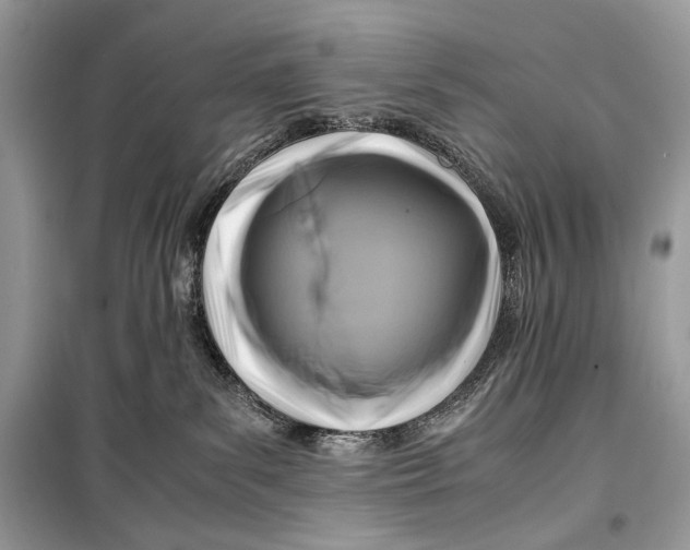 X0000099290139200805231328