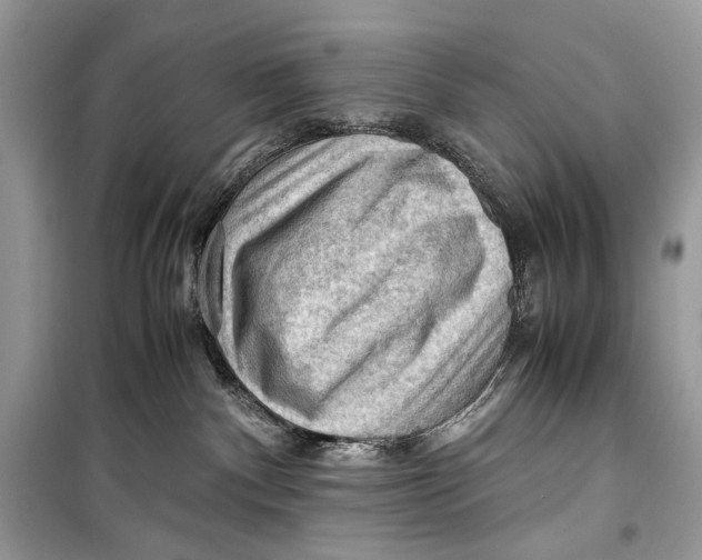 X0000099290140200805231328