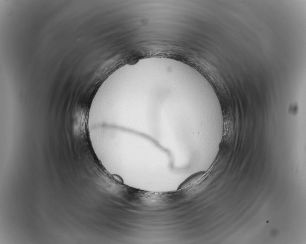 X0000099290142200805231328