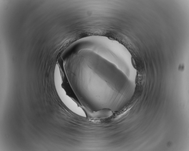 X0000099290143200805231328