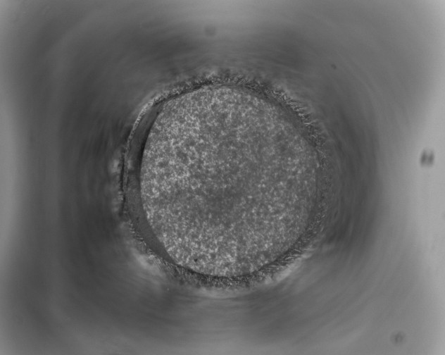 X0000099290144200805231328