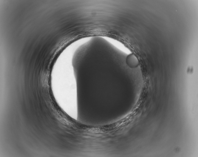 X0000099290146200805231328