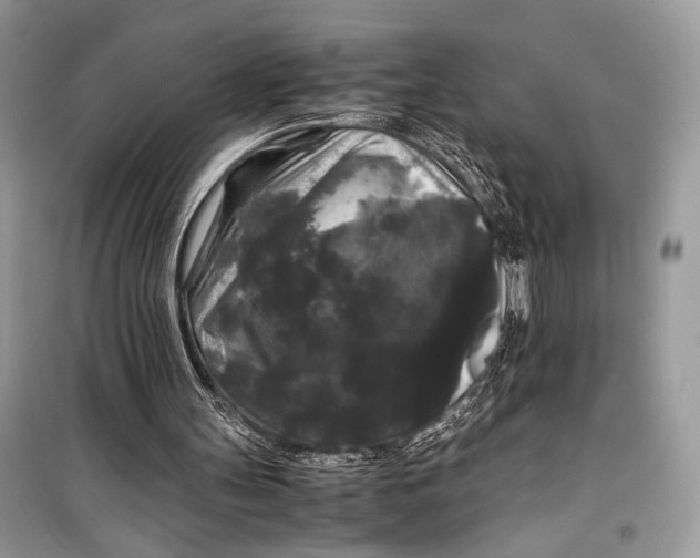 X0000099290147200805231328