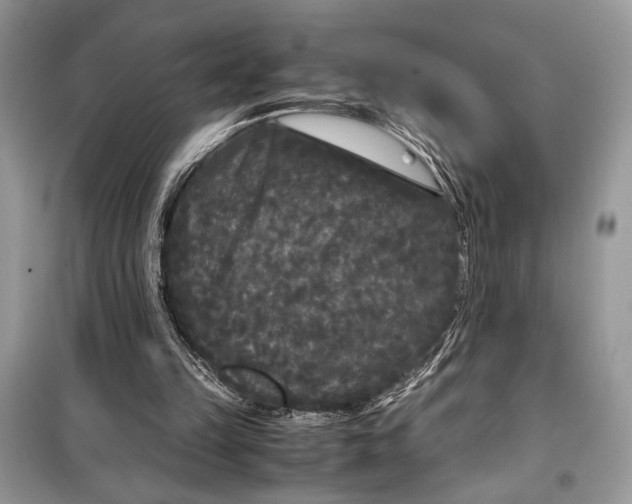 X0000099290149200805231328