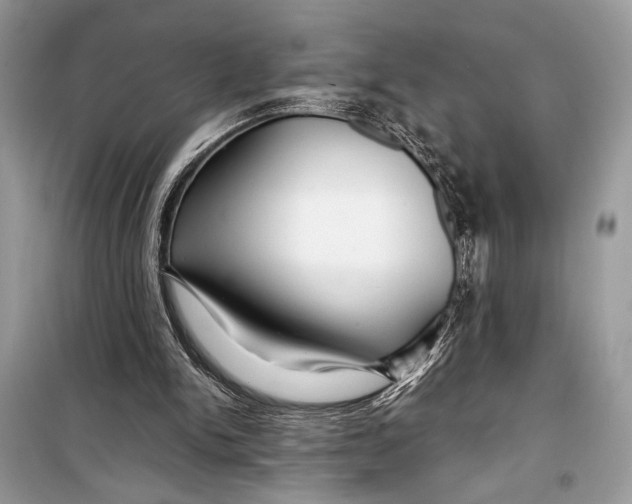 X0000099290150200805231328