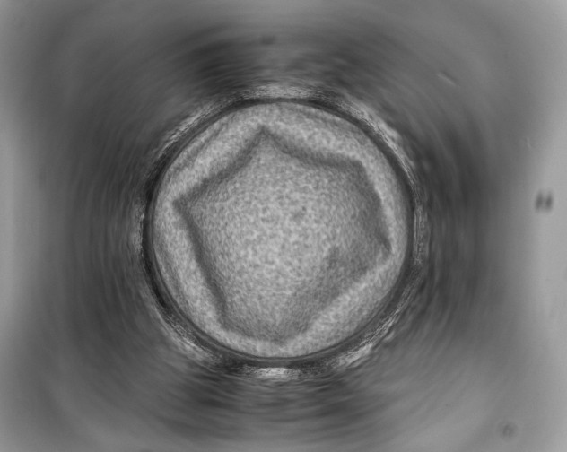 X0000099290153200805231328