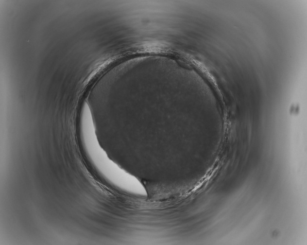 X0000099290154200805231328