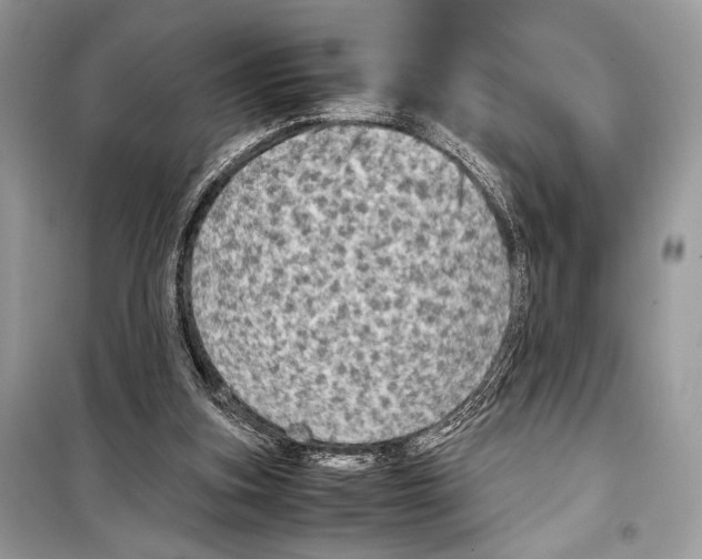 X0000099290155200805231328